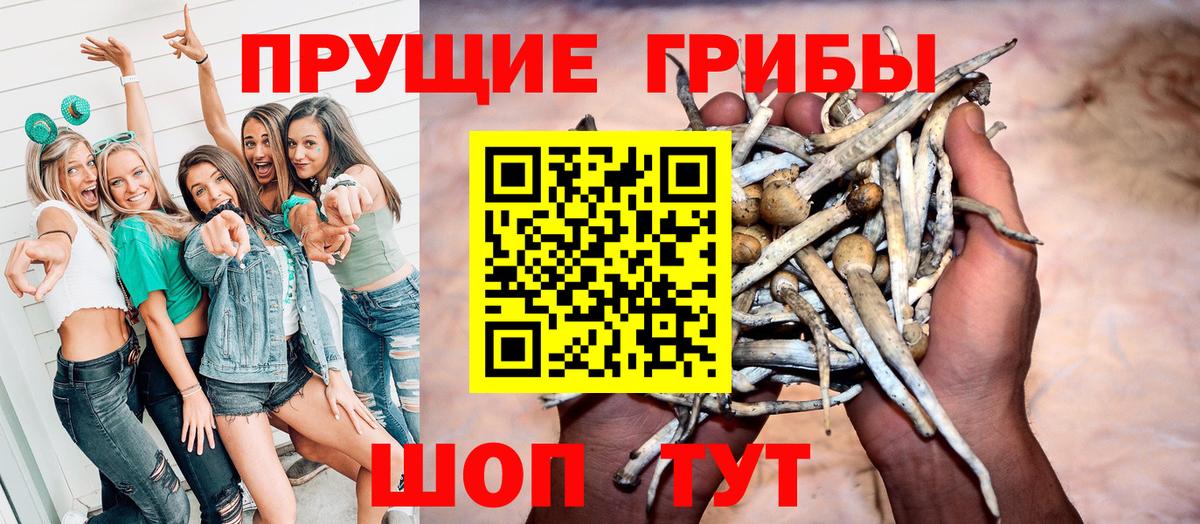 Галлюциногенные грибы ЛСД  Вход с VPN  Нальчик 